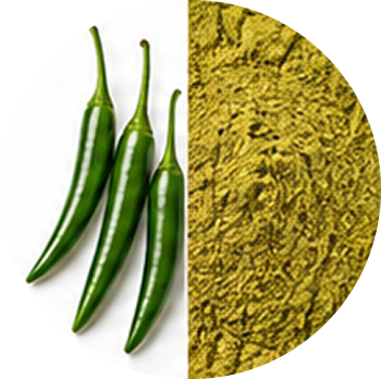 Green Chilli cutout