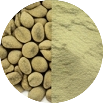 Green Coffee cutout
