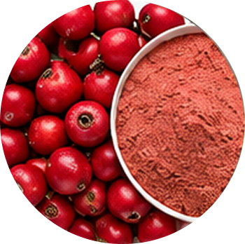 Hawthorn Berry cutout