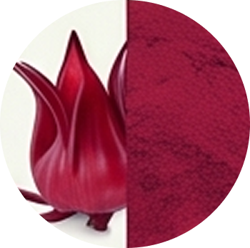 Hibiscus Extract cutout