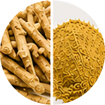 Golden Seal cutout