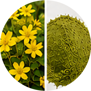 St. John's Wort cutout