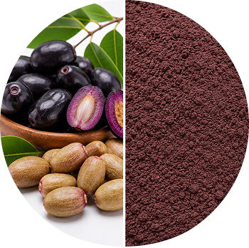 Jamun cutout