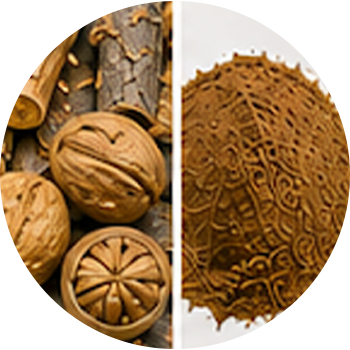 Walnut Oil cutout