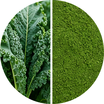 Kale cutout