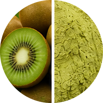 Kiwifruit cutout