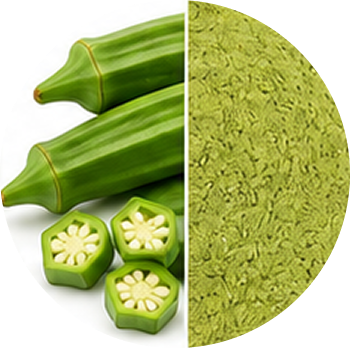Okra cutout