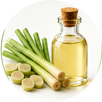 Lemongrass Oil cutout