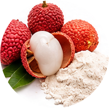 Lychee cutout