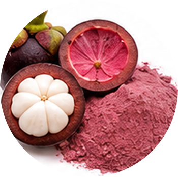 Mangosteen cutout