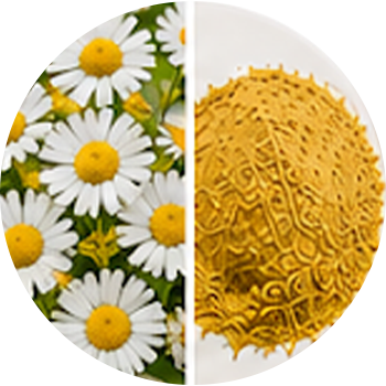 Chamomile cutout