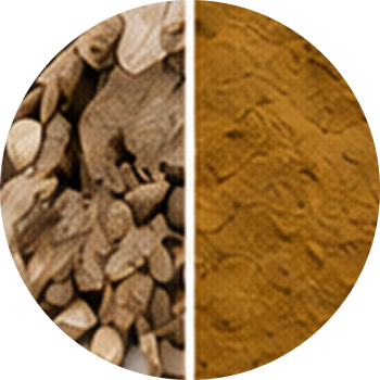 Bakula cutout