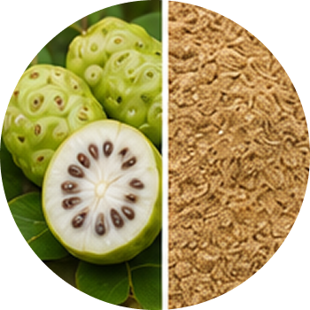 Noni cutout