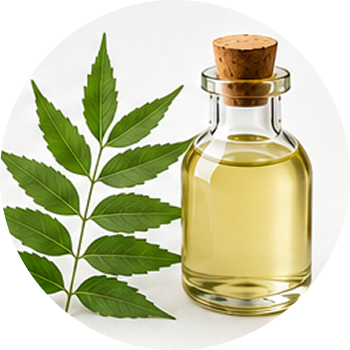 Neem Oil cutout
