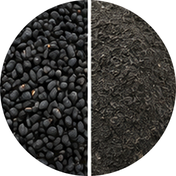Kalonji cutout