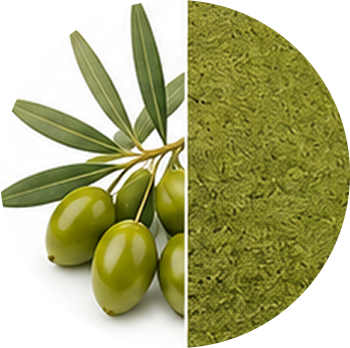 Olive cutout