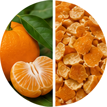 Orange cutout