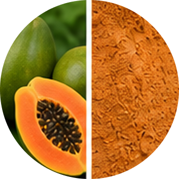 Papaya cutout