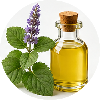 Patchouli Oil cutout
