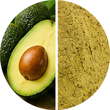 Avocado cutout