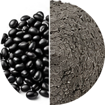 Black Beans cutout