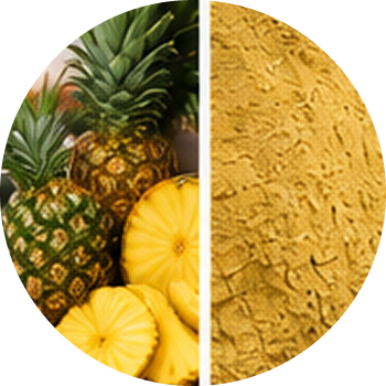 Pineapple cutout
