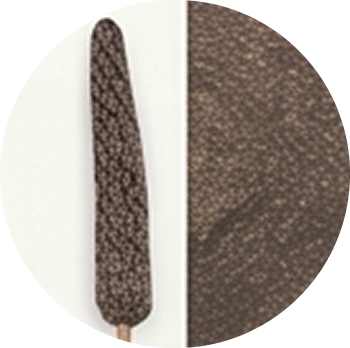 Piper longum Extract cutout