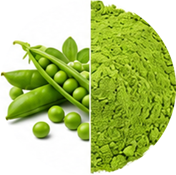 Green Peas cutout