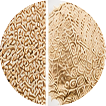 Isabgul cutout