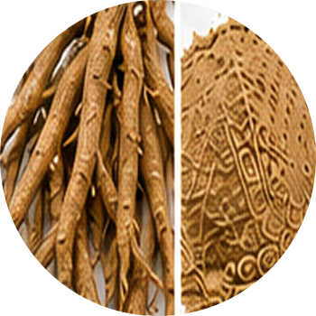 Rasna cutout