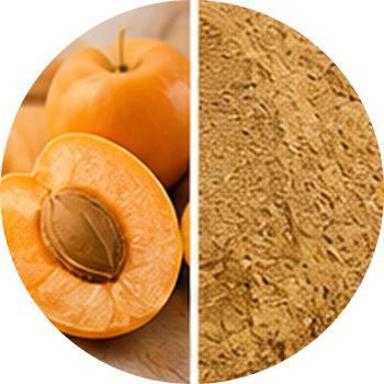 Apricot cutout