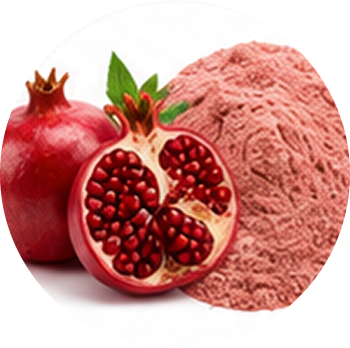 Pomegranate cutout