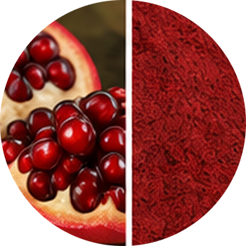 Pomegranate cutout