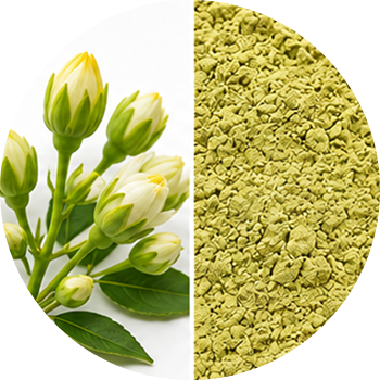 Quercetin cutout