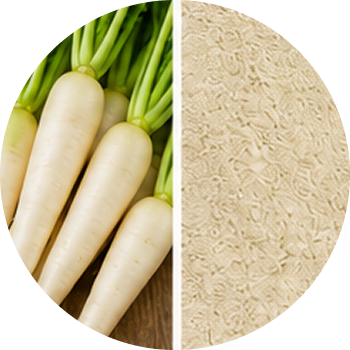 Radish cutout