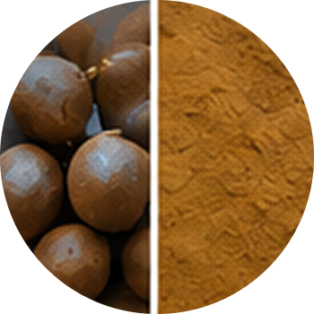 Mindhal cutout