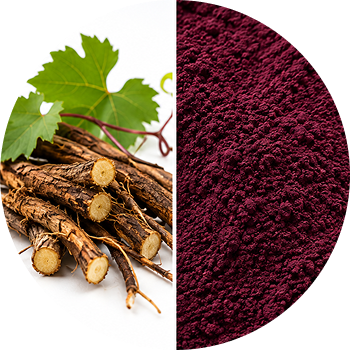 Resveratrol cutout