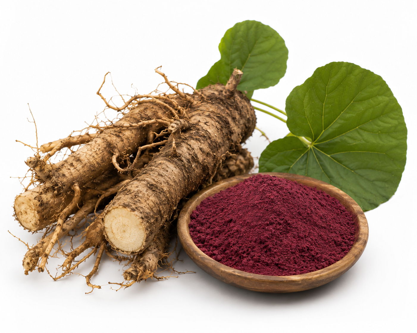 Resveratrol Extract Product Display