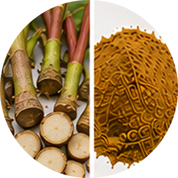 Rhubarb cutout