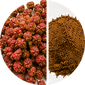 Kakrashingi cutout