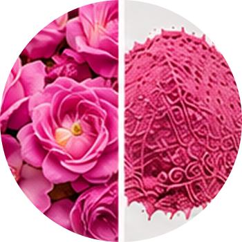 Rose cutout