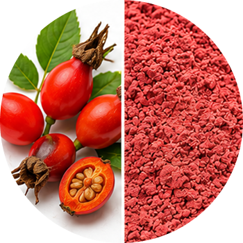 Rosehip cutout