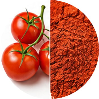 Tomato cutout