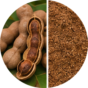 Tamarind cutout