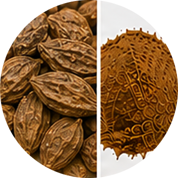 Harde cutout