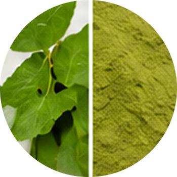 Patol cutout