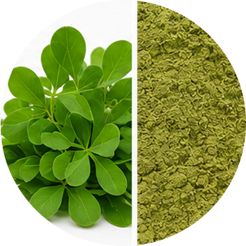 Methi Leaf cutout