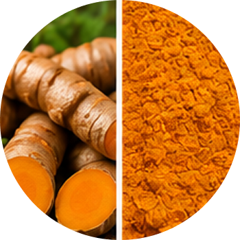 Turmeric cutout