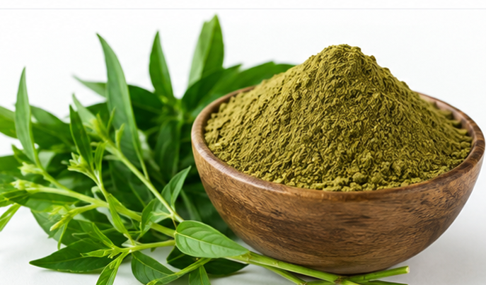 Andrographis Extract Product Display