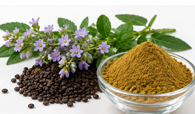 Bakuchi Extract Product Display